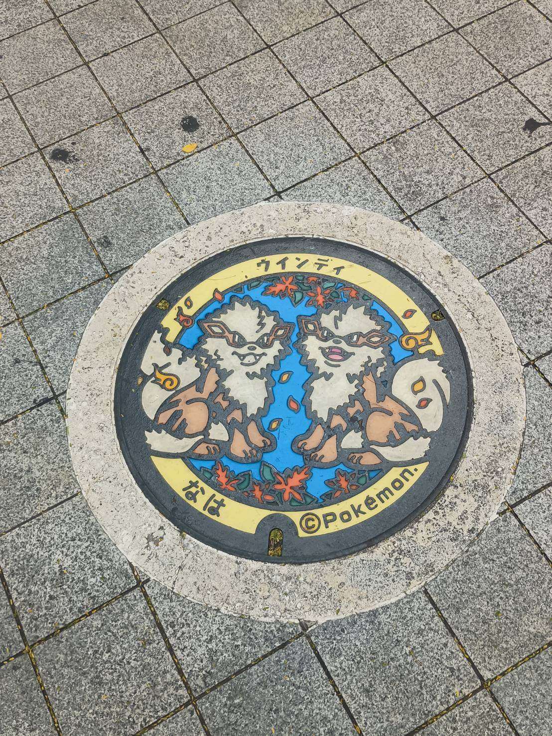 ポケふた　沖縄デザイン。ウィンディ。那覇。